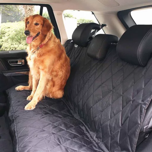 Ochranný autopoťah proti zvieracim chlpom