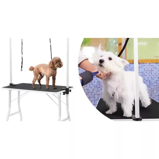 Veterinárny stôl s dvoma vodítkami