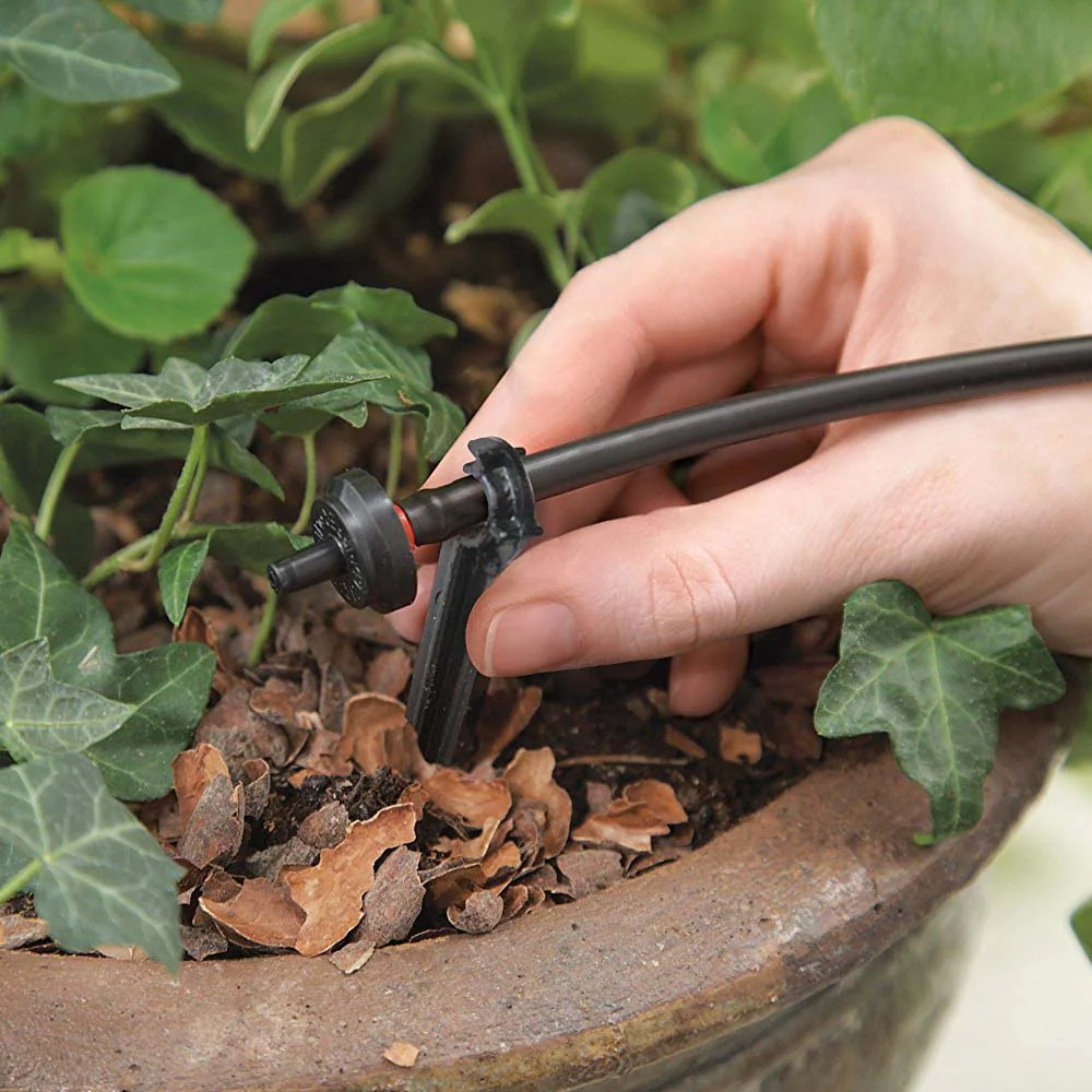 kapkový zavlažovací systém v zeleninové zahradě