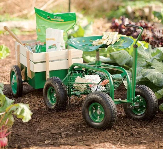 pravidelná údržba trávníku na zahradě