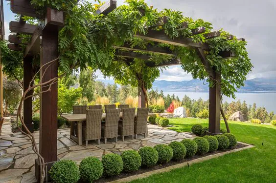 Moskytiéra pre slnečník na ochranu pred hmyzom