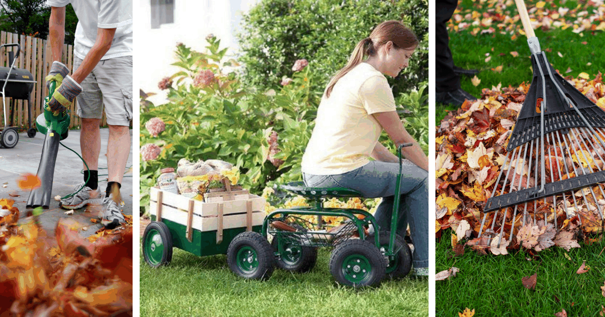 Záhradné práce na jeseň: Nástroje, ktoré uľahčia úlohy