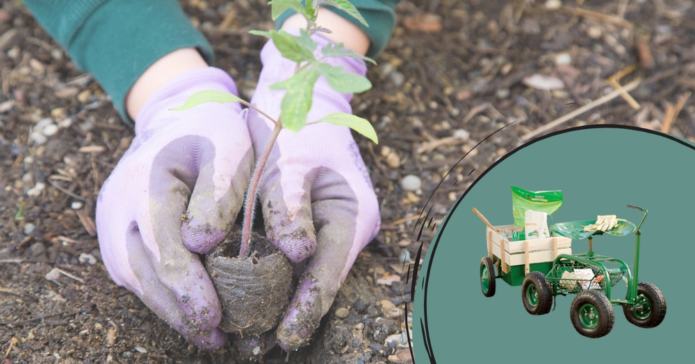 Začiatok roka v záhrade: januárové a februárové práce v záhrade
